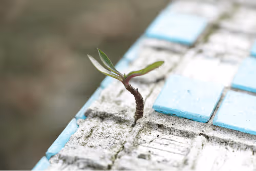 Blog post thumbnail: The Content Distribution Channel You Never Thought Of